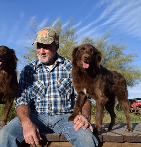 working dogs