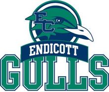 Endicott Gulls