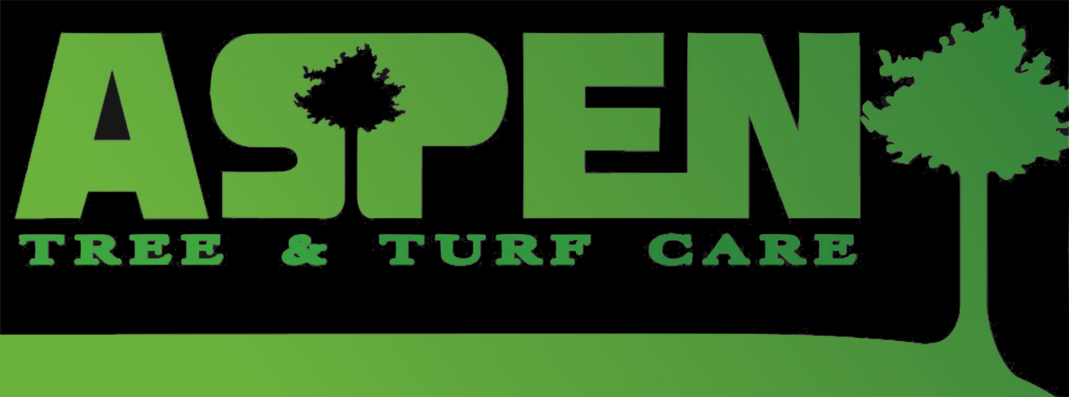 Aspen Tree  Turf Care Inc