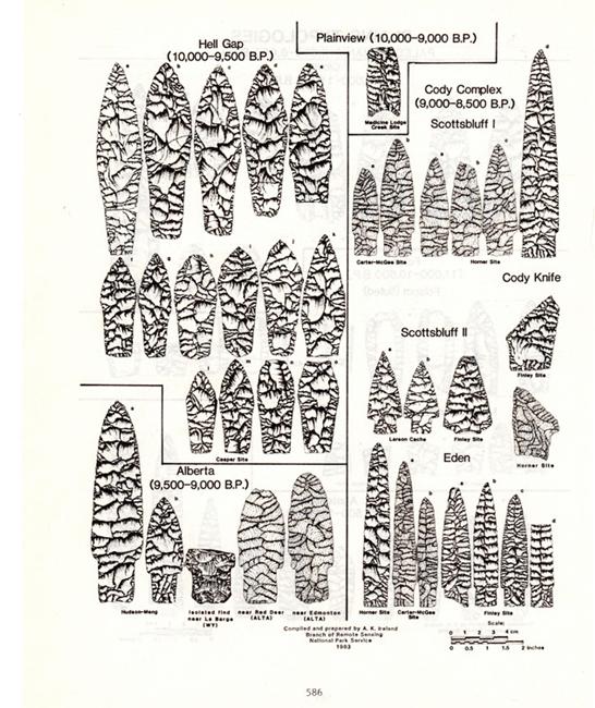 Point Chronology