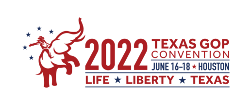 State Convention