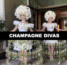 Hoop Skirt Champagne Divas