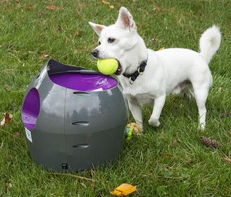 Automatic Ball Launcher with dog feching tennis balls