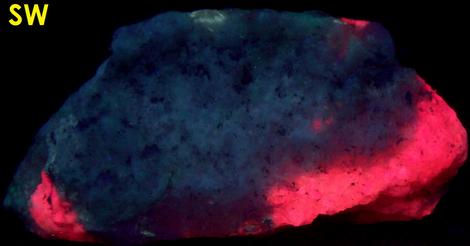 SW and LW fluorescent TUGTUPITE, CHKALOVITE - Taseq Slopes (Tasseq Slopes), Taseq area, Ilimaussaq complex, Narsaq, Kujalleq (Kitaa Province, West Greenland), Greenland, Denmark - ex Tom Pankratz