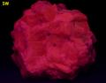 fluorescent SALMON CALCITE, Passaic Pit (Passaic Mine; Marshall Mine), Sterling Hill, Ogdensburg, Franklin Mining District, Sussex County, New Jersey, USA