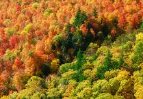 nature work