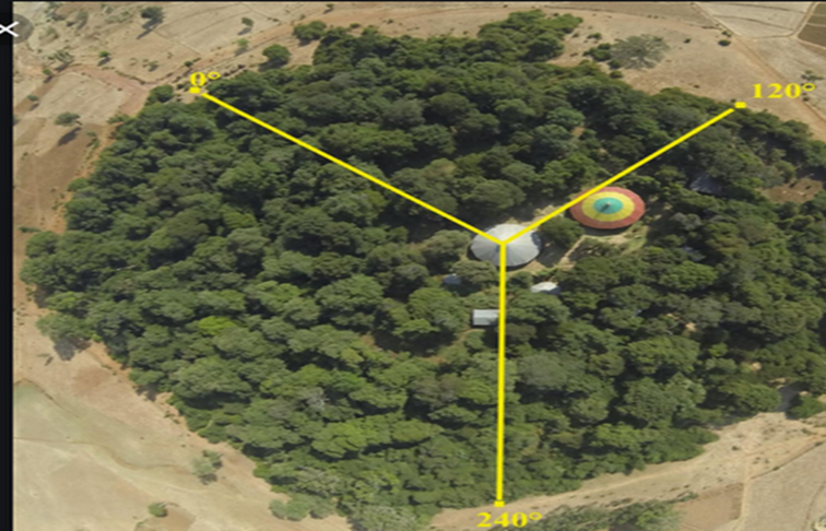 An example of one of the Ethiopian Orthodox Church forests