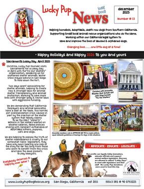 lucky pup dog rescue newsletter dec 2024