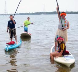 Paddle Boarding Tampa Clearwater Palm Harbor Oldsmar Tarpon Springs Paddle Board Near Me