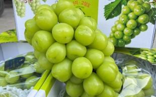 Giỏ hoa quả tết trung thu