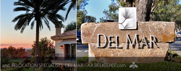 Del Mar Bee Removal and Del Mar Beekeeper