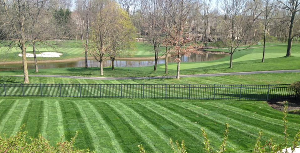 Ryan's Landscaping, Dublin Ohio, Powell Ohio, Lawn Care, Patio, Firepit, Fertilization, Irrigation, Landscape, Annual Color, Snow Removal, Lawn mowing, Spring Clean Up, Mulching, Annual Color, Perennials, OCNT, Landscape Lighting, LMN, Drainage, Leaf Removal