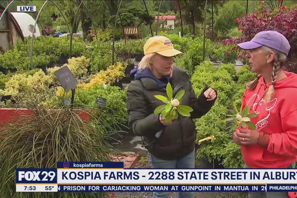 Fox Local Interview with Kospia Farms