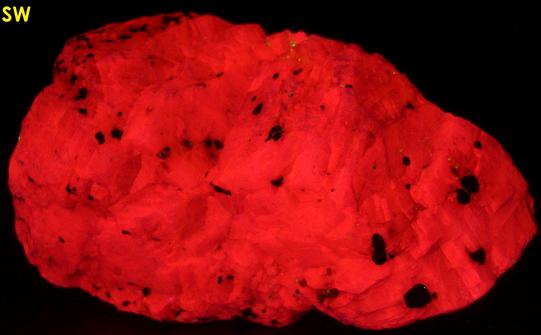 fluorescing CALCITE, MAGNETITE - Franklin, Franklin Mining District, Sussex County, New Jersey, USA - ex Borden, ex Morris Museum