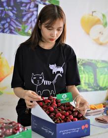 Cherry đỏ Mỹ