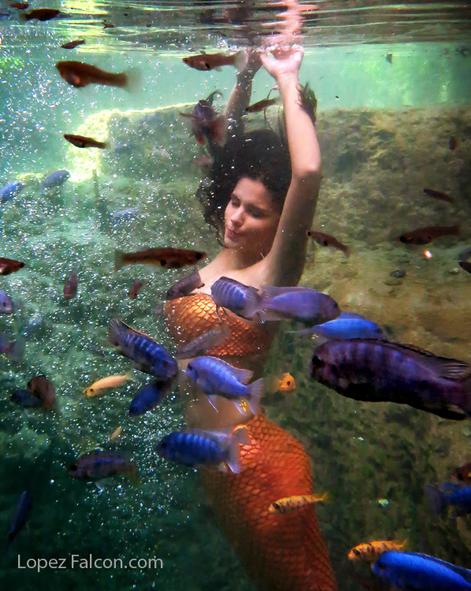 miami mermaid sirena photography Quinceaneras Mermaids