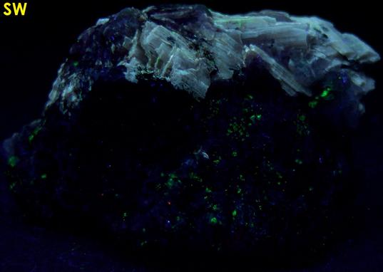 SW LW fluorescent SORENSENITE, AEGIRINE ACMITE - Kuannersuit plateau (Kvanefjeld), Ilimaussaq complex, Narsaq, Kujalleq, (Kitaa Province; West Greenland), Greenland, Denmark - Sørensenite type locality - ex Tom Pankratz