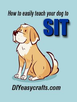 How to easily teach your dog to Sit