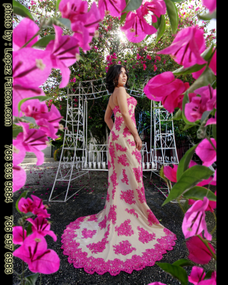 DRESS QUINCES MIAMI QUINCEANERA DRESSES