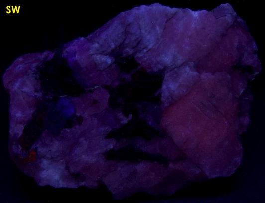 fluorescent CRYOLITE with SIDERITE, Ivigtut Cryolite deposit, Ivittuut (Ivigtut), Arsuk Firth, Arsuk, Sermersooq (Kitaa Province; West Greenland), Greenland, Denmark