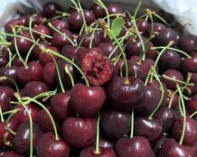 Cherry Mỹ