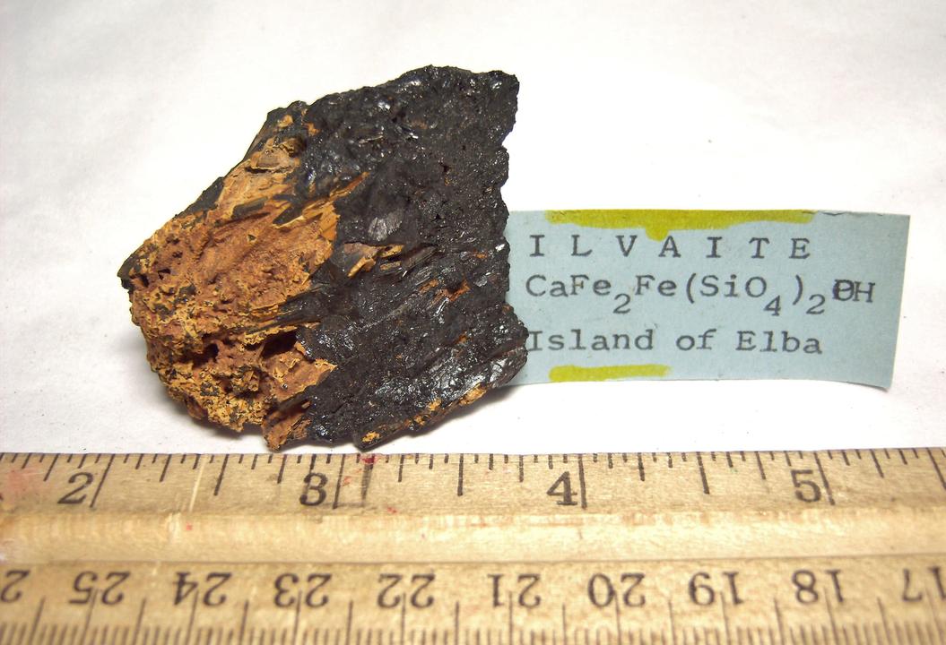 ILVAITE crystals - classic locality - Elba Island, Livorno Province, Tuscany (Toscana), Italy