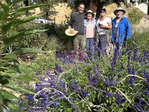 Pollinator Paradise at Broadway Designed and Cared for by Andrew Hibben, Photo by Kathi Lishman