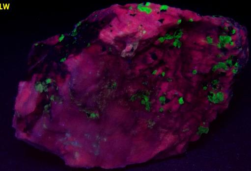fluorescent CALCITE, WILLEMITE, SUSSEXITE, FRANKLINITE, SPHALERITE, ZINCITE - Sterling Mine, Sterling Hill, Ogdensburg, Franklin Mining District, Sussex County, New Jersey, USA - type locality