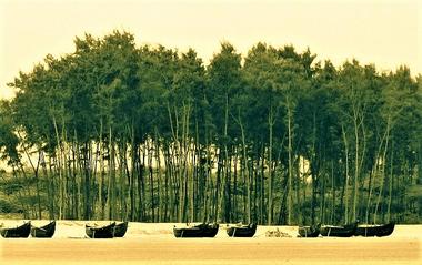 The famous Beaches of Digha