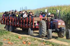 Picture of Hank's Narrated Wagon Ride