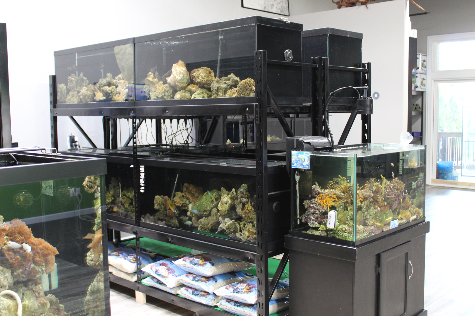 Retail best sale aquarium display