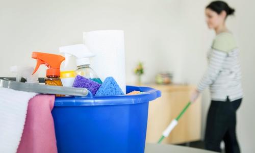 HOUSE CLEANER
