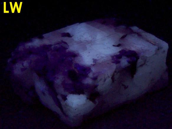 fluorescing CALCITE with LAUMONTITE - Churchville Quarry (Davis Quarry Company Inc.), Churchville, Hardford County, Maryland, USA