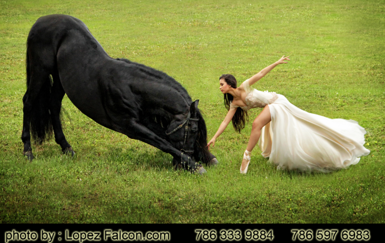 Horses for quinceanera photo shoot in miami quince pictures with horse redland fl homestead el portal andaluz