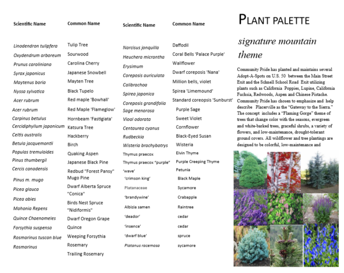 Plant Palette Signature Mountain Theme Placerville Petals Community Pride Volunteers Archives Josette Johnson www.josettejohnson.com