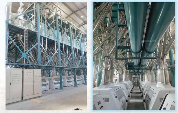 200t/24h Wheat flour making machine in Brazil​