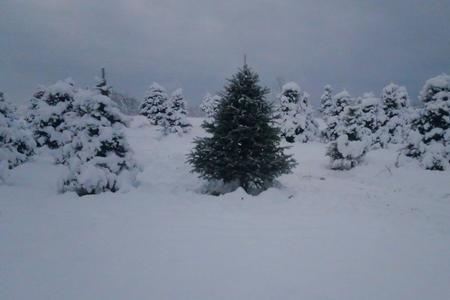 #stillfarming Rossview Farm New Hampshire