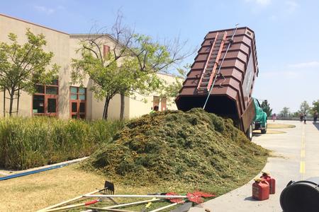 Free Mulch