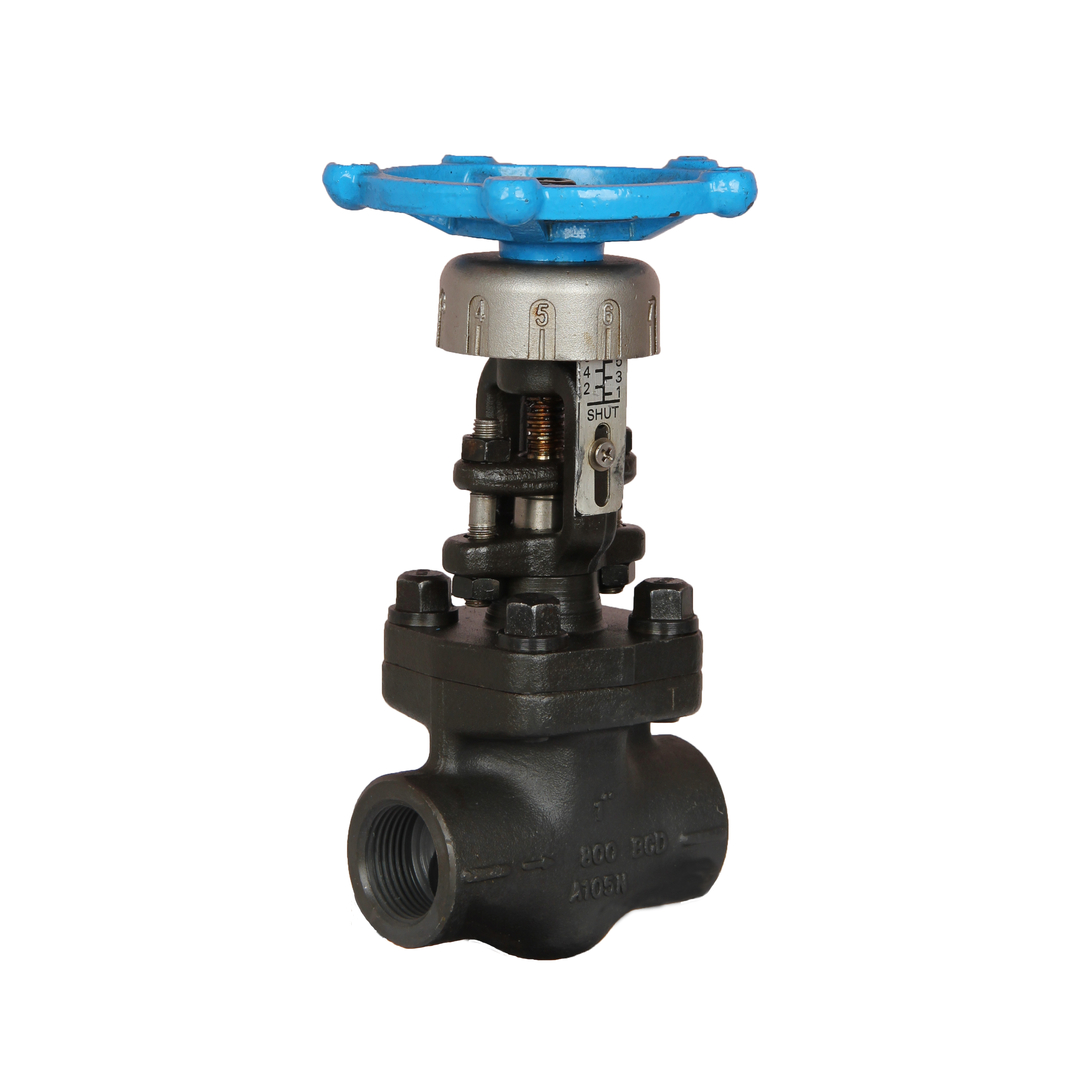 VAN BI - SUN VALVE - HÀN QUỐC , VAN CẦU - SMALL FORGED STEEL API 602 GLOBE  VALVE