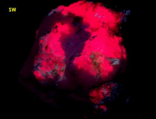 fluorescent TUGTUPITE with AEGIRINE - Ilimaussaq complex, Narsaq, Kujalleq (Kitaa Province - West Greenland), Greenland, Denmark - type locality
