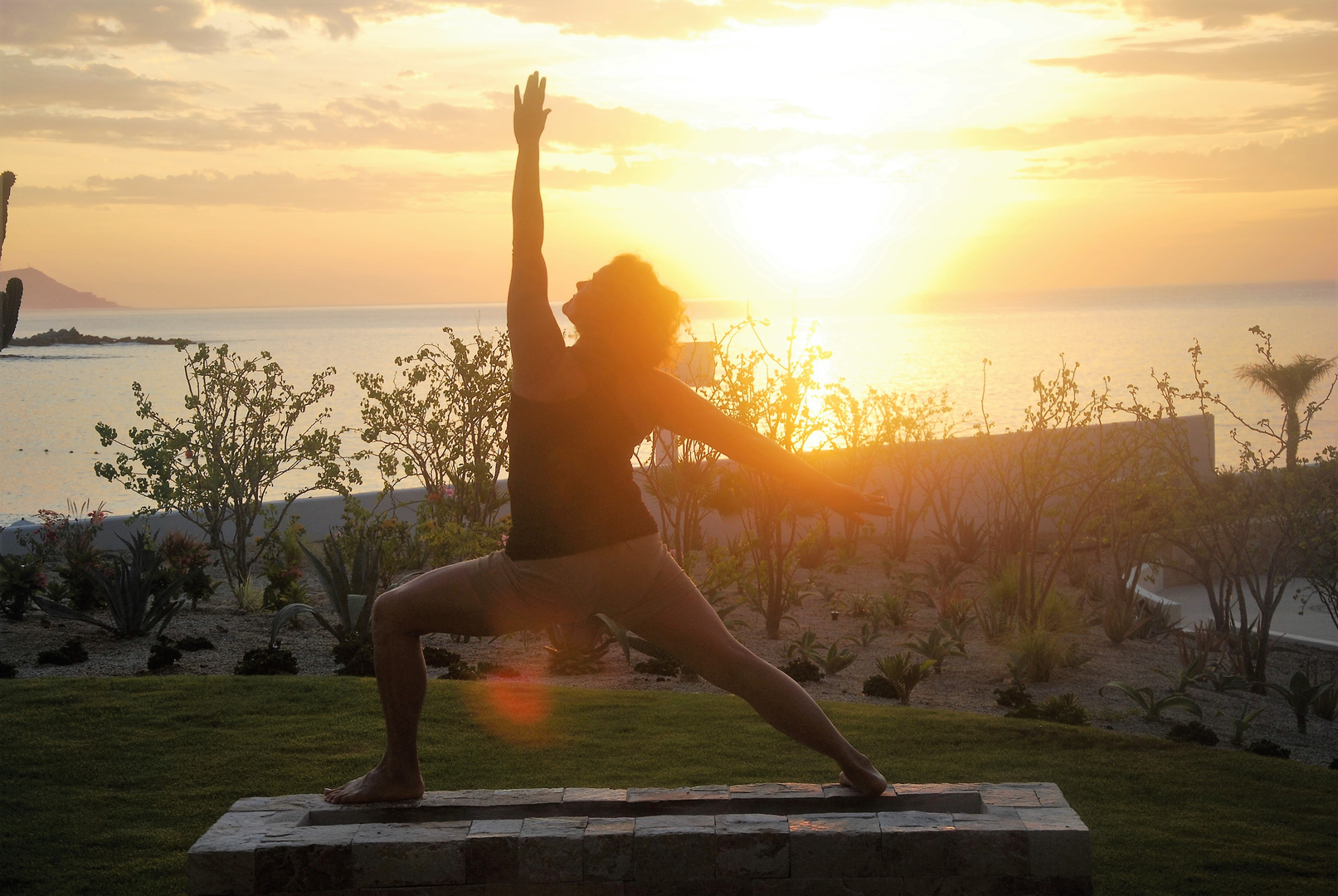 Dallas Yoga Therapy — Yoga Bharati