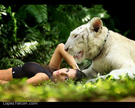 QUINCEANERA WITH BABY TIGER PHOTOSHOOT IN MIAMI HOMESTEAD REDLAND