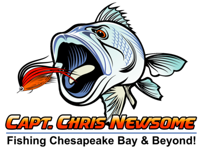 Chesapeake Bay Fly Fishing - Chris Newsome
