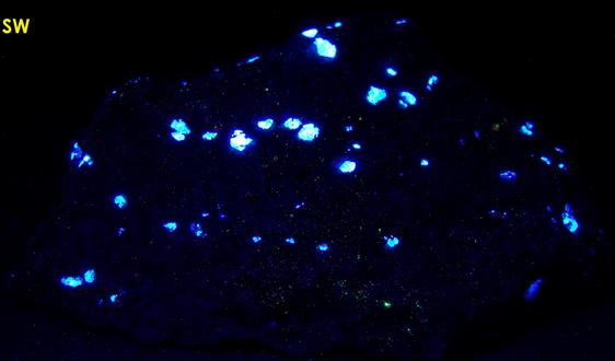 fluorescent SCHEELITE, QUARTZ, CLINOZOISITE - Trumbull (Old Mine Park), Fairfield County, Connecticut, USA
