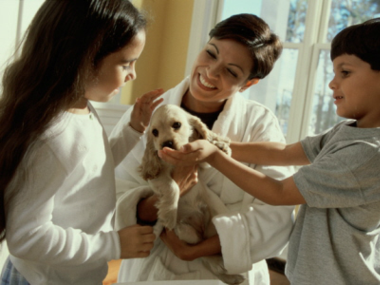 Family Dog Training at home