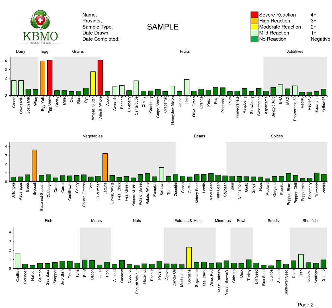 FIT 132 TEST - SAMPLE REPORT page 2