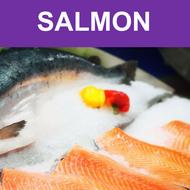 Salmon