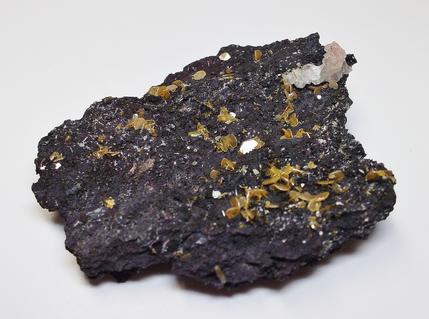 WULFENITE crystals - Silver Bill Mine, Arizona