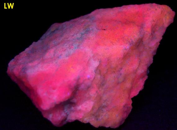 fluorescing SW LW CLINO-SUENOITE, TREMOLITE - International Talc Company Mine No. 8 (Reynolds Mine), Talcville, St.Laurence County, New York, USA