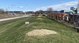 commerical stump grinding